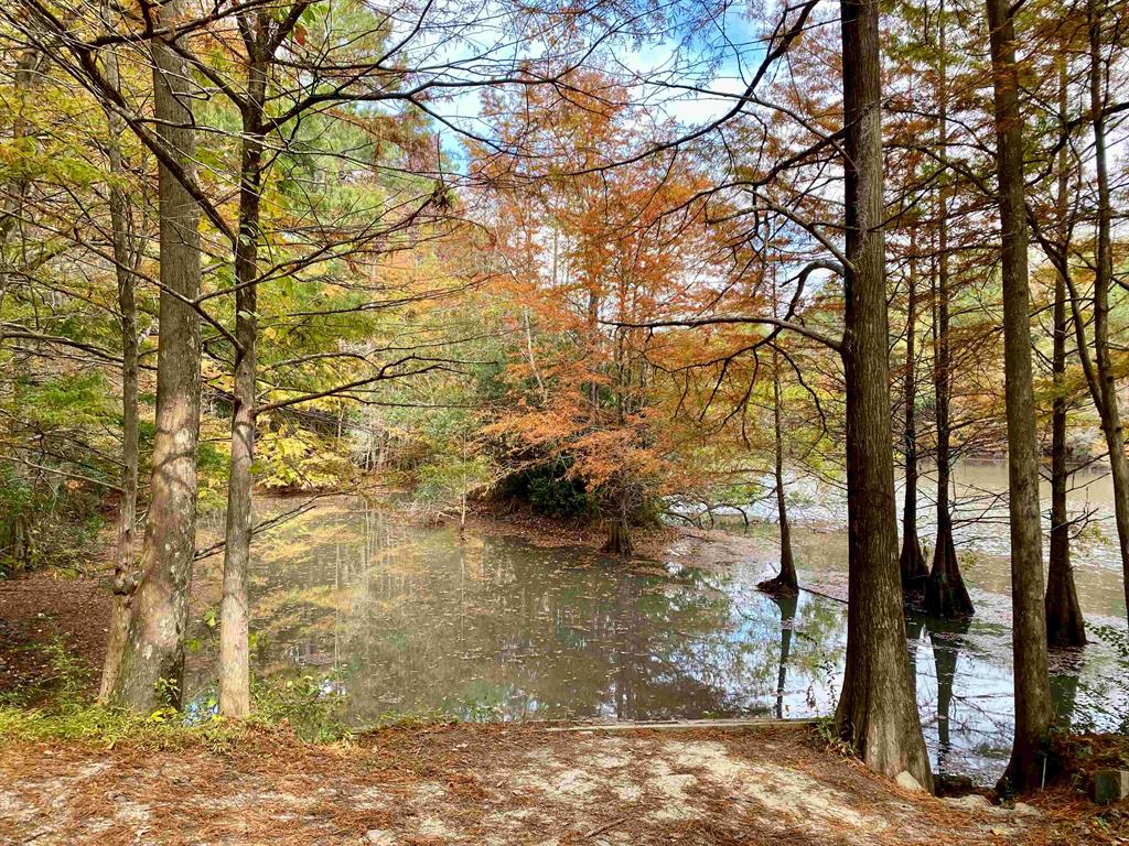 Abbey Nature Preserve 
