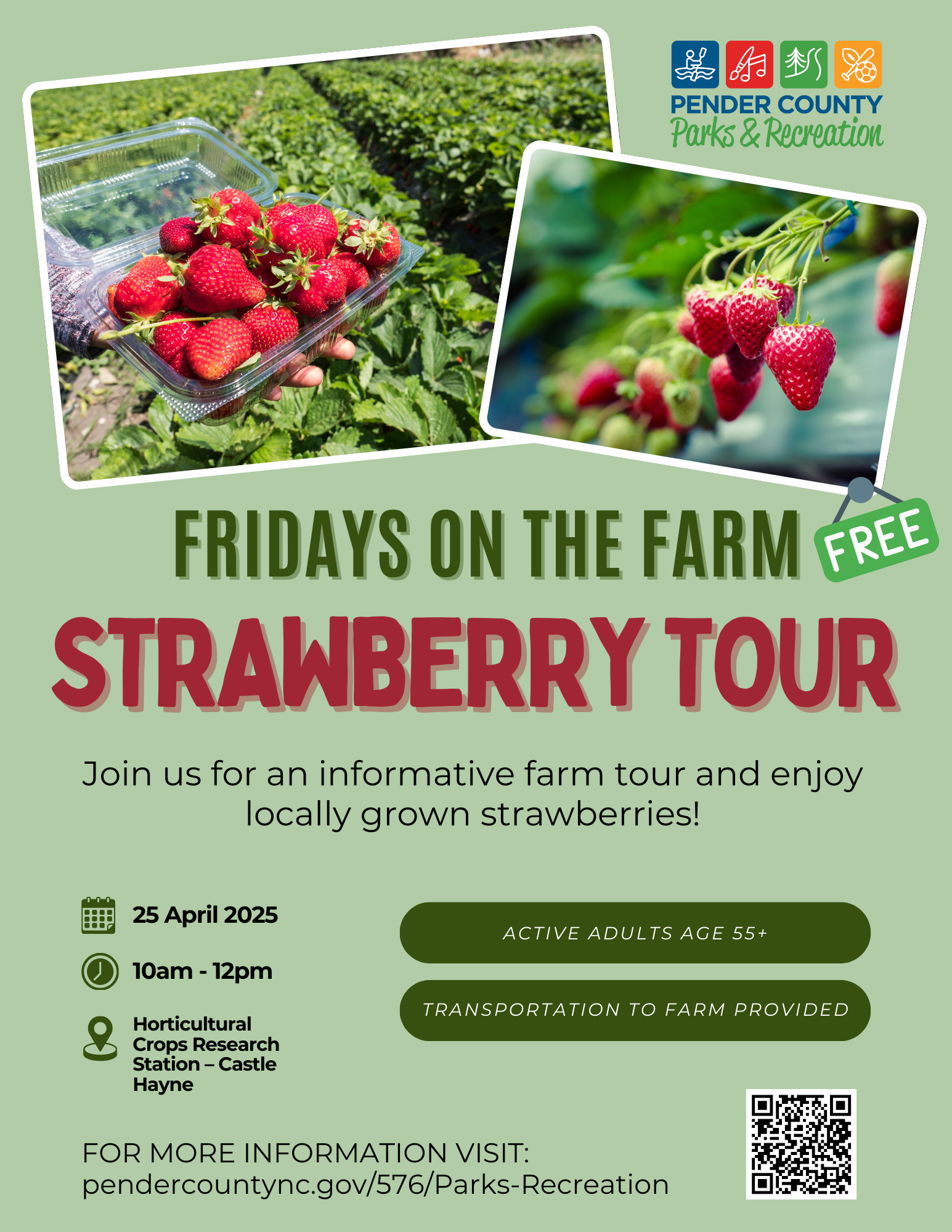 Friday on Farm- Strawberries