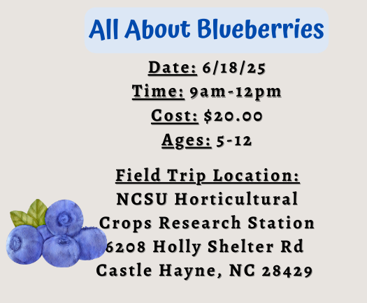 All About Blueberries (1)