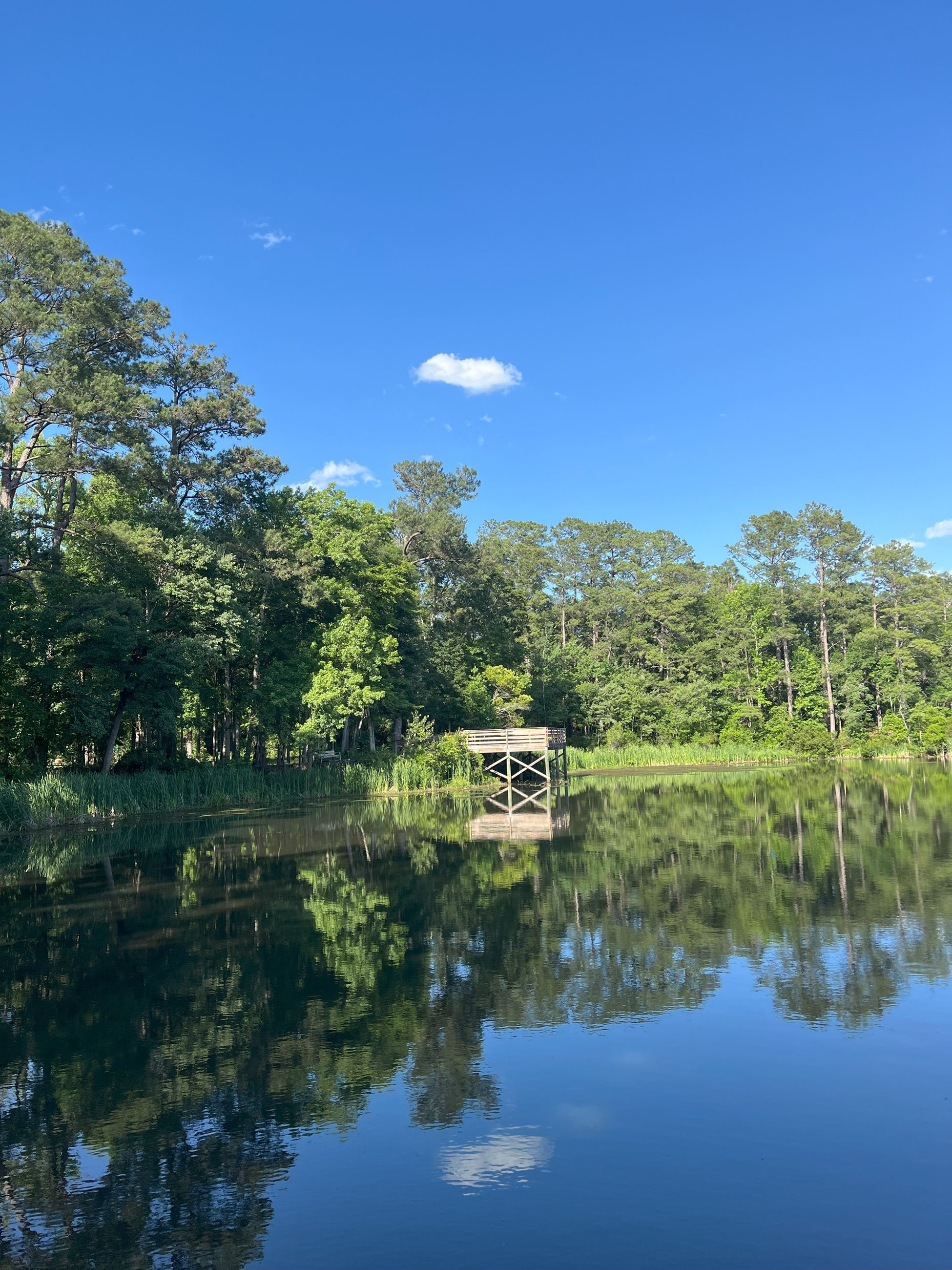 millers pond park pond