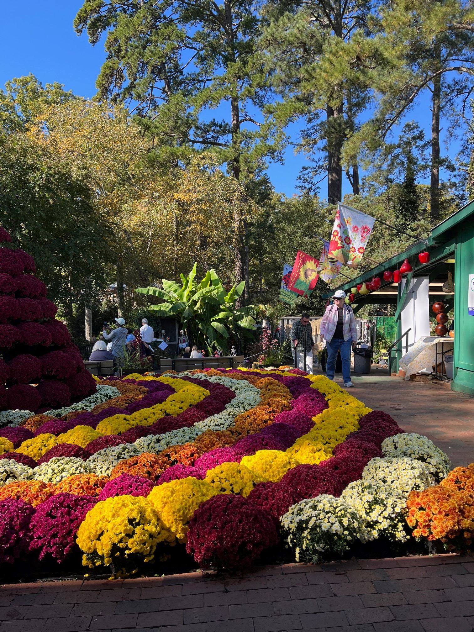 Active Adult State Fair